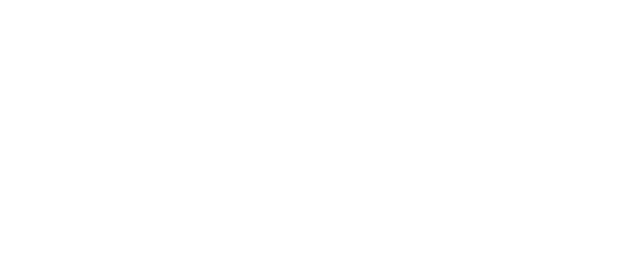 מצפינים